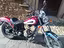 Immagine 2
