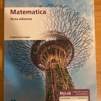 libro universitario “Matematica” Guerraggio