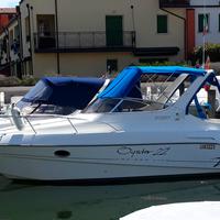 Sessa oyster 22