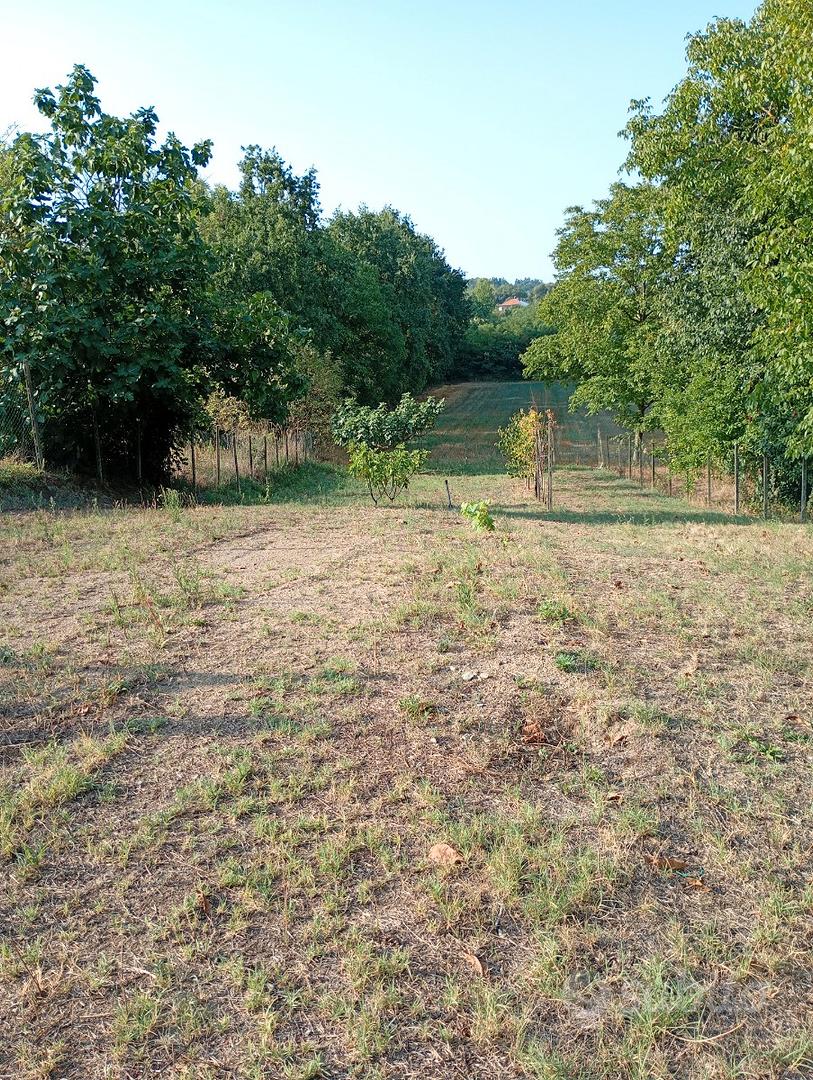 Terreno agricolo recintato - Vista 4