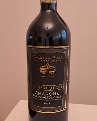 Campo dei Gigli AMARONE Valpolicella 2016 Docg Ros