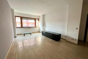 5 LOCALI A ALBA