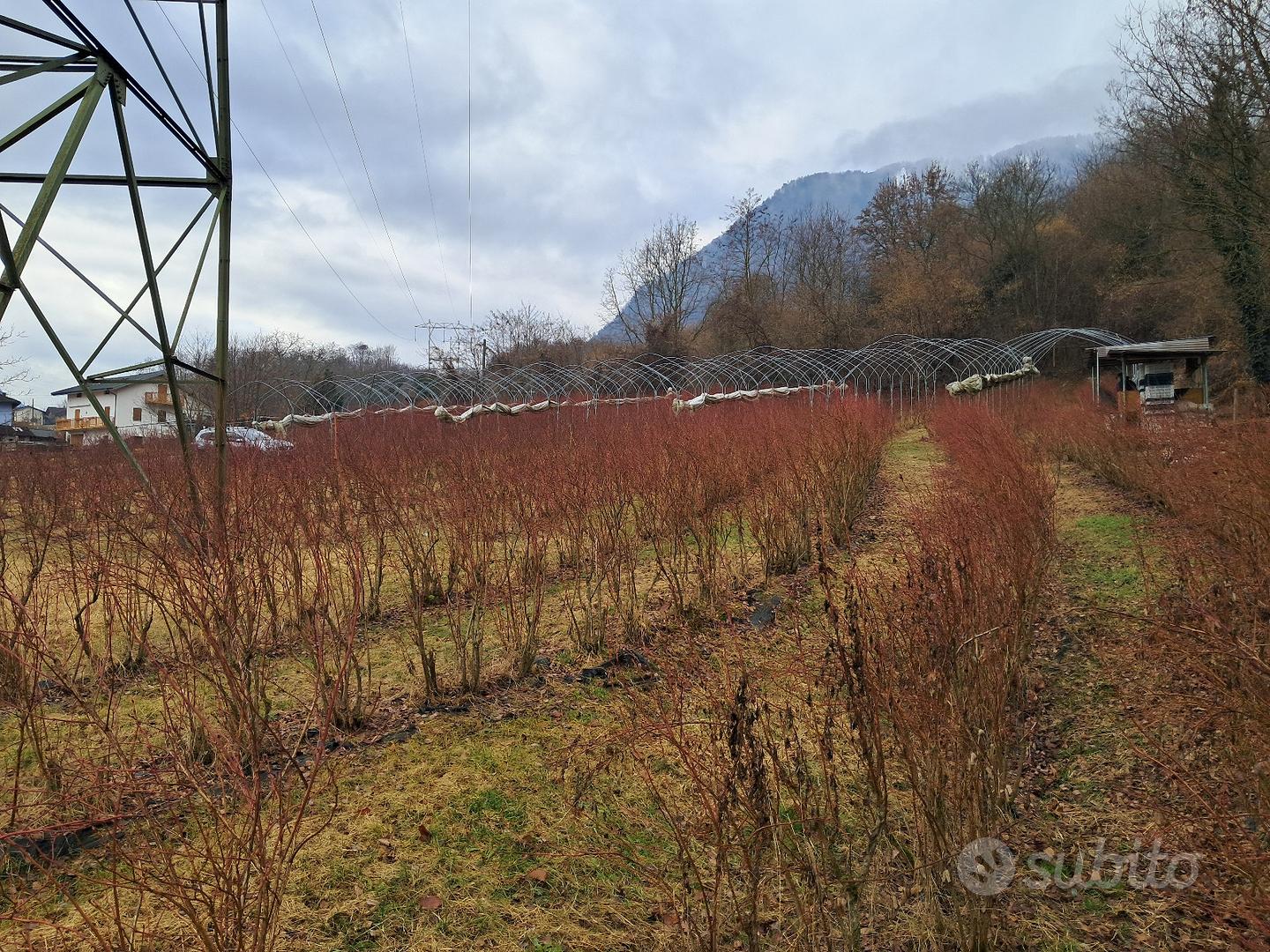Terreno agricolo Marter - Altro