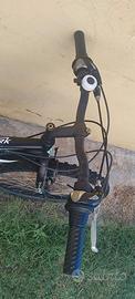 Mountain bike  Record Stark 24 pollici