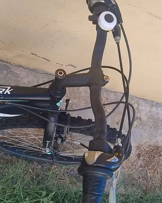 Mountain bike  Record Stark 24 pollici