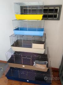 Gabbie per conigli 