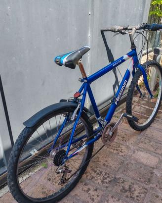 Mountain bike uomo