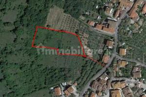 Terreno agricolo a Le Poggiola