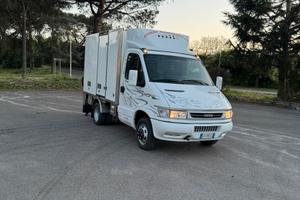 Pescheria iveco daily 35c12