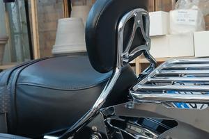 sissy bar harley davidson 