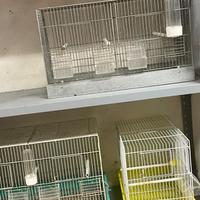 Gabbie per uccellini