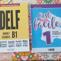 DELF B 1 , C'EST PLUS FACILE TESTI DI FRANCESE 