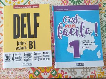 DELF B 1 , C'EST PLUS FACILE TESTI DI FRANCESE 