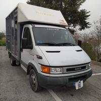 Van trasporto 2 cavalli