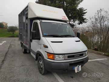 Van trasporto 2 cavalli