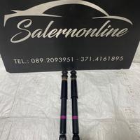 Ammortizzatori posteriori Smart 453