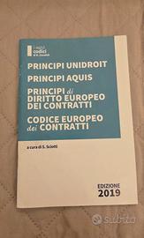 Principi Unidroit Aquis diritto europeo 