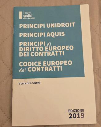 Principi Unidroit Aquis diritto europeo 