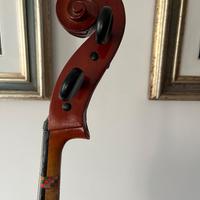 Violoncello  1/2