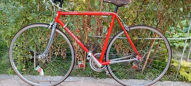 Colnago vintage in acciaio – modello da accertare