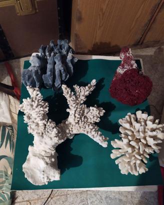 Corallo per acquario