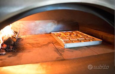 PARALEGNA INOX FORNO LEGNA GAS IBRIDO 37CM PIZZA