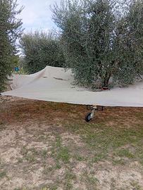 Ombrello raccogli olive