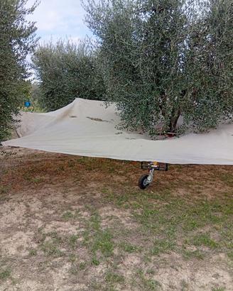 Ombrello raccogli olive