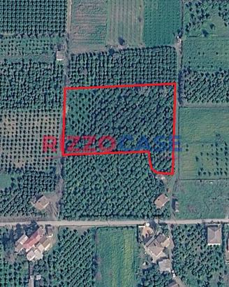 Terreno agricolo - Corigliano-Rossano