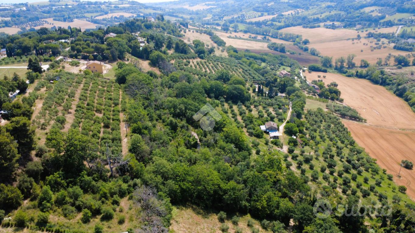 RUSTICO A CIVITANOVA MARCHE - Vista 4