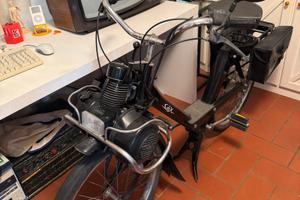 Solex 3800 Targato