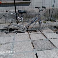 bici VICINI
