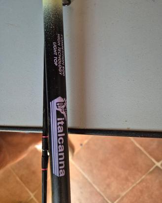 Canna da surfcasting 2 pezzi