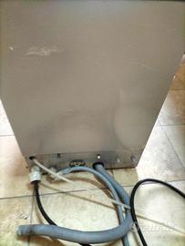 Lavatazzine professionale