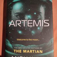 libro "giallo" in inglese ARTEMIS