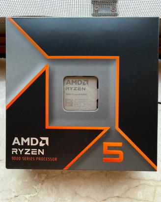 Ryzen 5 9600X