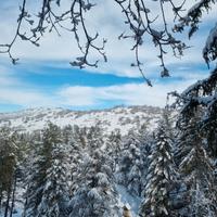 Tagliacozzo piccola svizzera