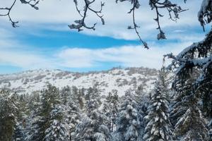 Tagliacozzo piccola svizzera