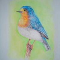 acquerello dipinto uccellino 