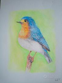 acquerello dipinto uccellino 