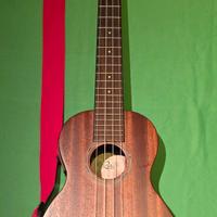 Ukulele Lsho Concerto