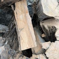 Legna d’ulivo da ardere per camino e forno