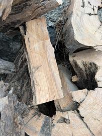 Legna d’ulivo da ardere per camino e forno