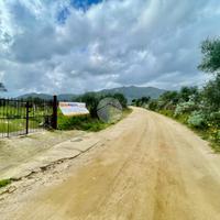 Terreno agricolo di 2000 metri quadri