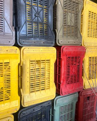 Cassette di plastica per frutta