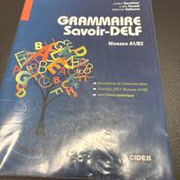 Grammaire Savoir-Delf