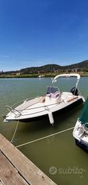 Cad marine 19 + EVINRUDE ETEC 75 + carrello