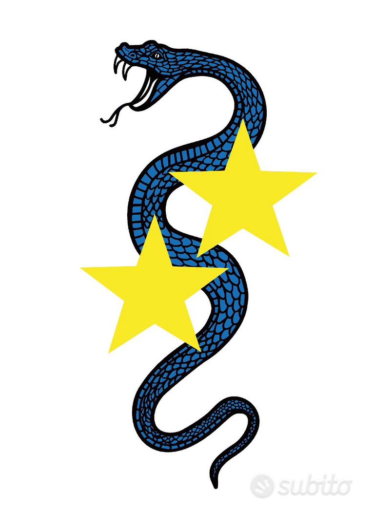 Adesivo Scudetto INTER 2024 | 20° Stella | PVC Lucido Per Auto/Moto | +2 Omaggio - Foto 7