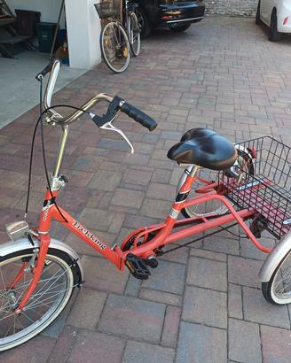 bicicletta 3 ruote
