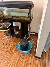 Acquario